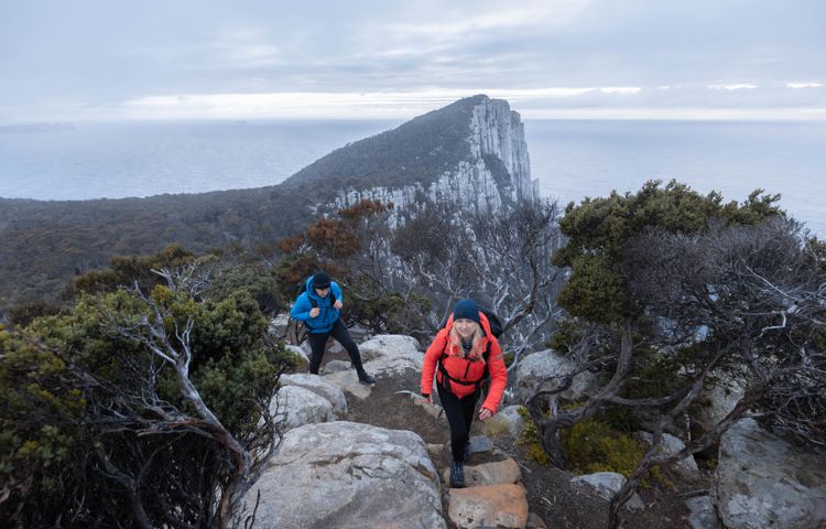 Guests walking along rocks at Three Capes