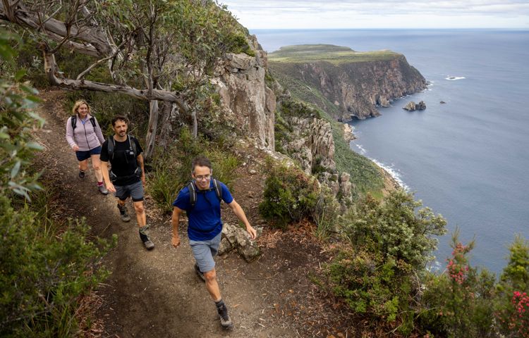 walkers walking along Three Capes Track