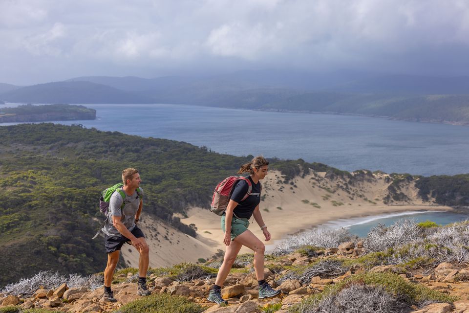 Views on Three Capes Track