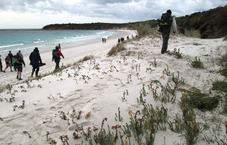 we care environment walking on sand dunes