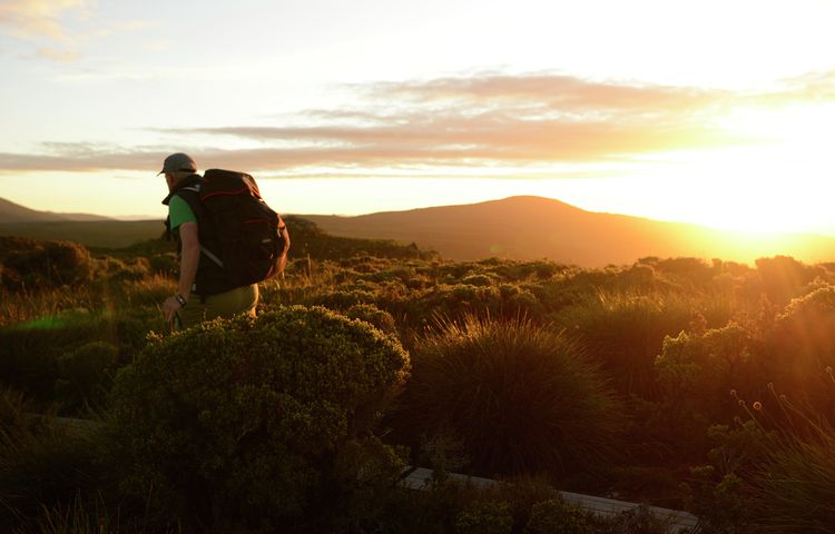 No heavy backpacks sunset