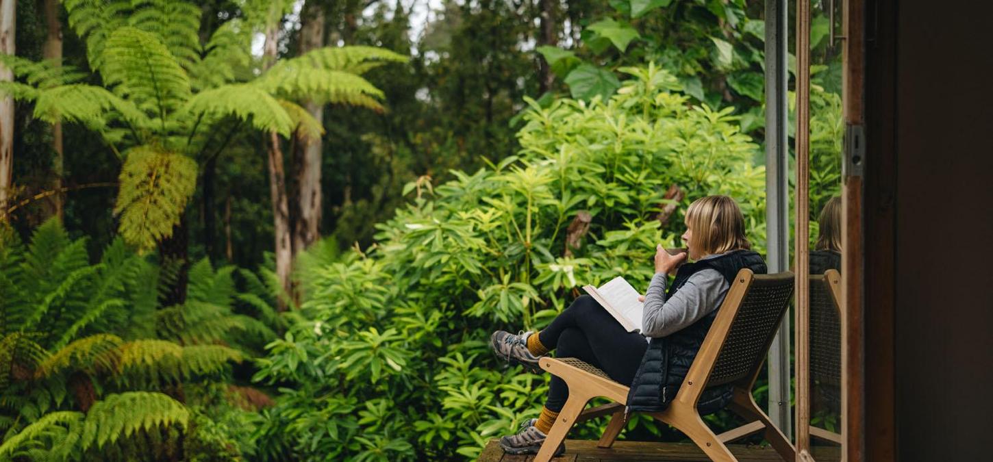 nature, woman, reading, book, drinks,