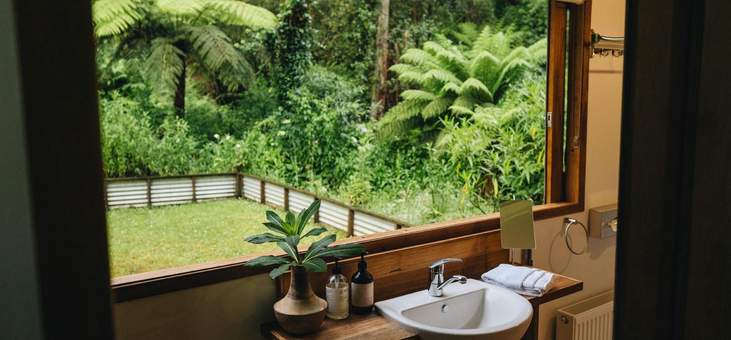 Bathroom, window, sink, trees