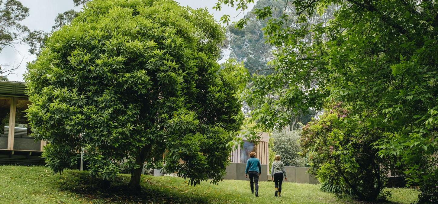 Trees, people, grass, lodge, Twelve Apostles