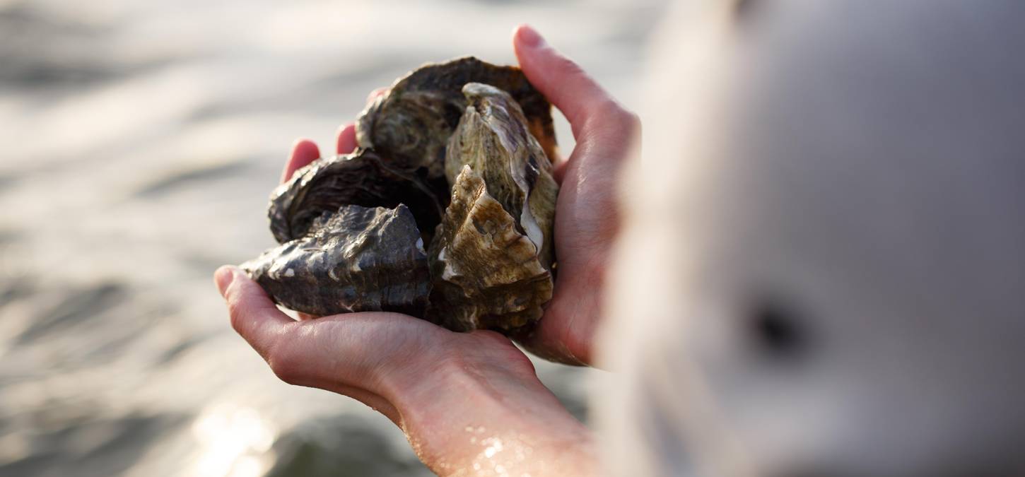 Bruny Island Heros oysters in hand