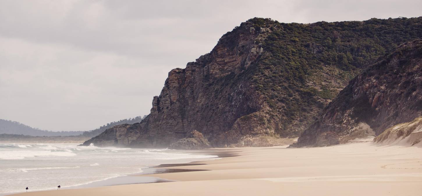 Bruny Island Heros beach headland