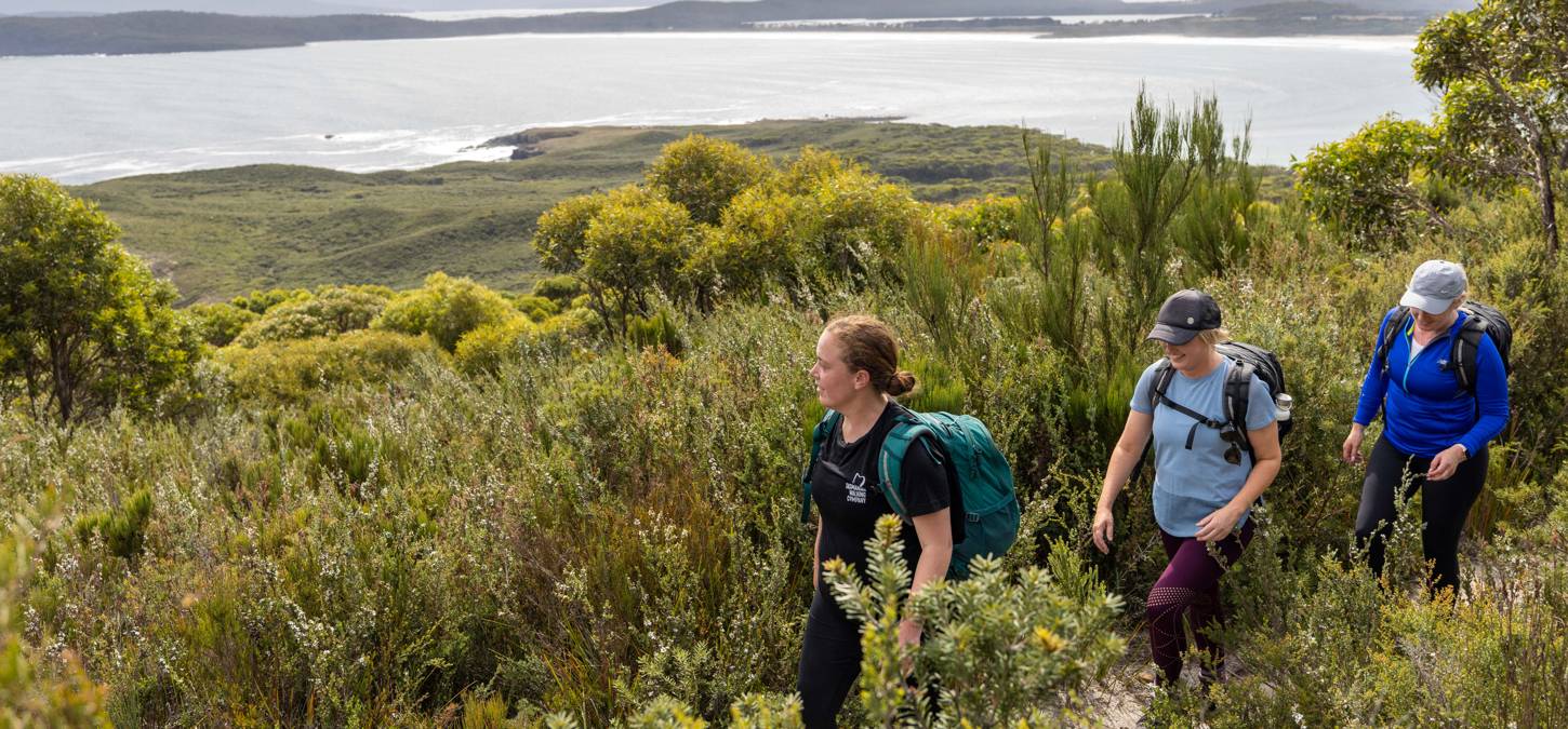 Walkers going through plants on Bruny Island trail