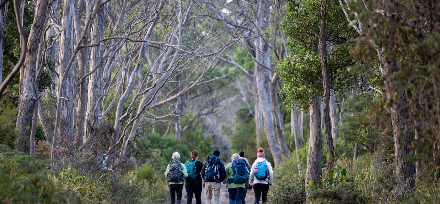 Guests walking on Bruny Island trail