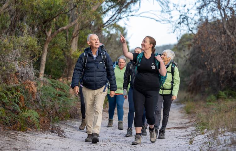 Guests walking through trees along a path