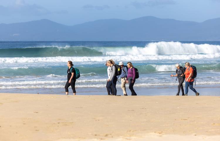 guests walking along the beach