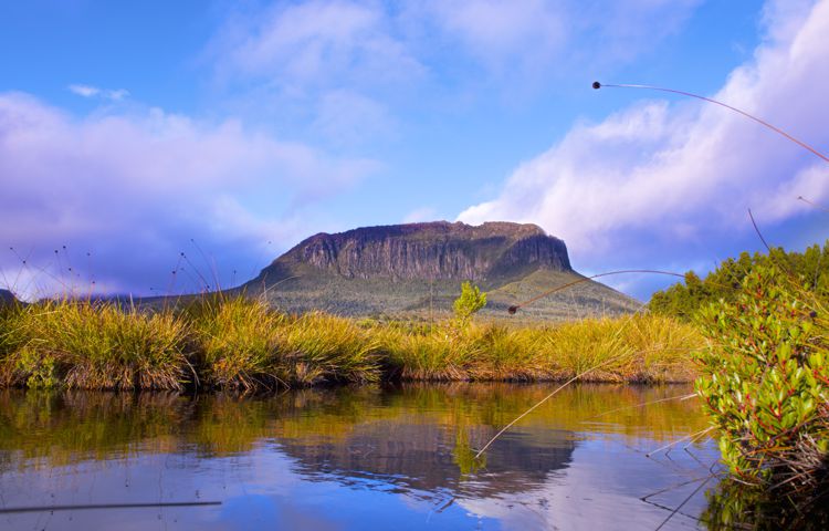 cradle mt mountain