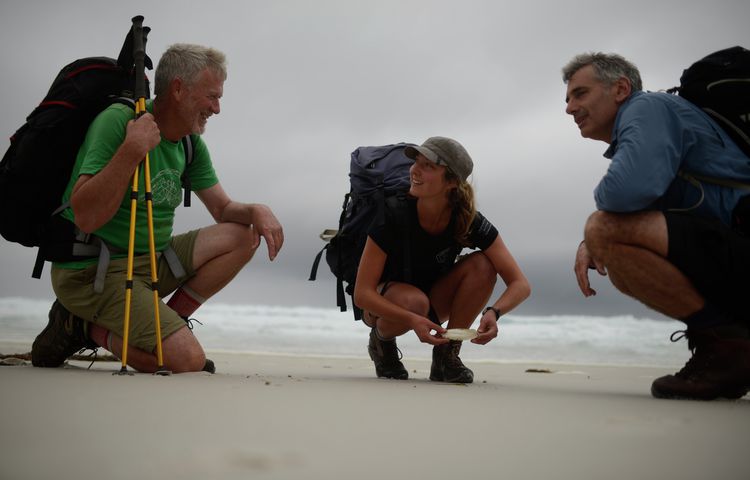 bay of fires beach walking