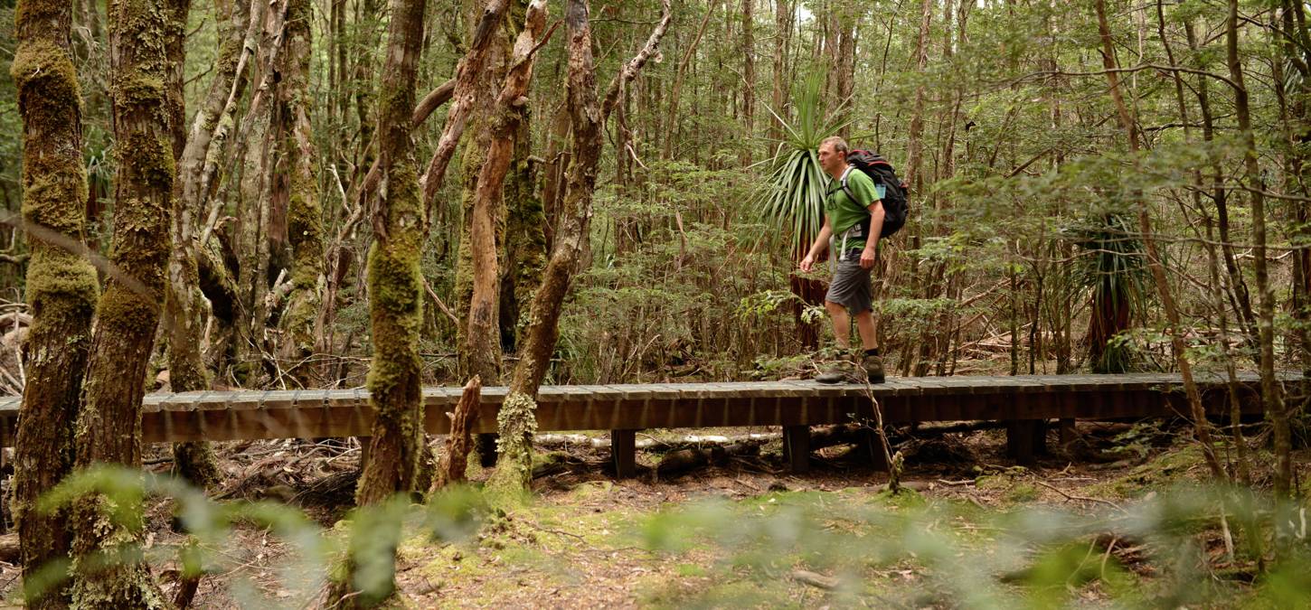 Walker walking along the trail at Cradle Mountain