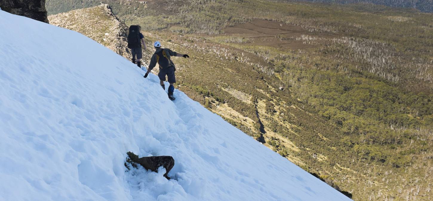 Walkers through the snow on Cradle Mountain