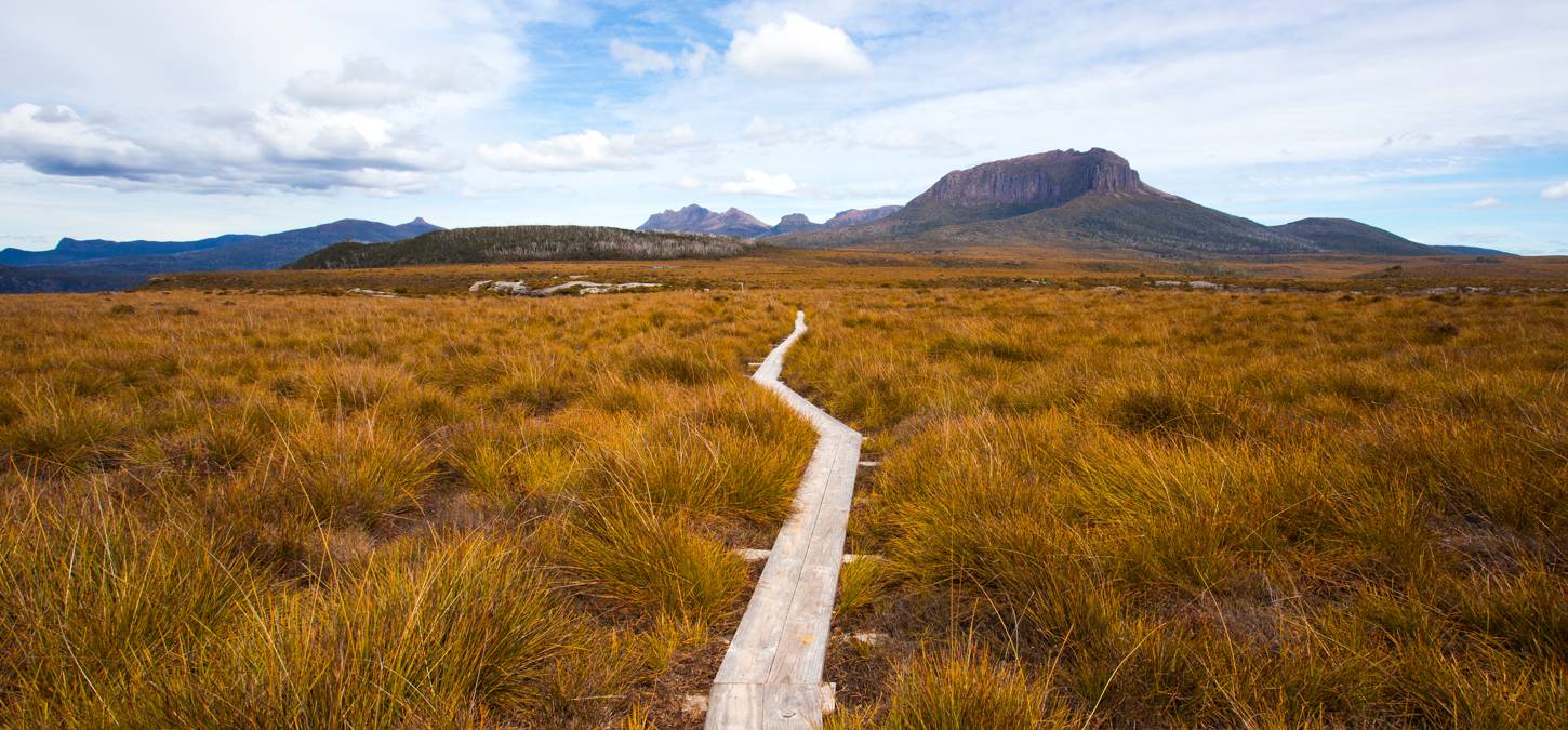 Cradle mountain track