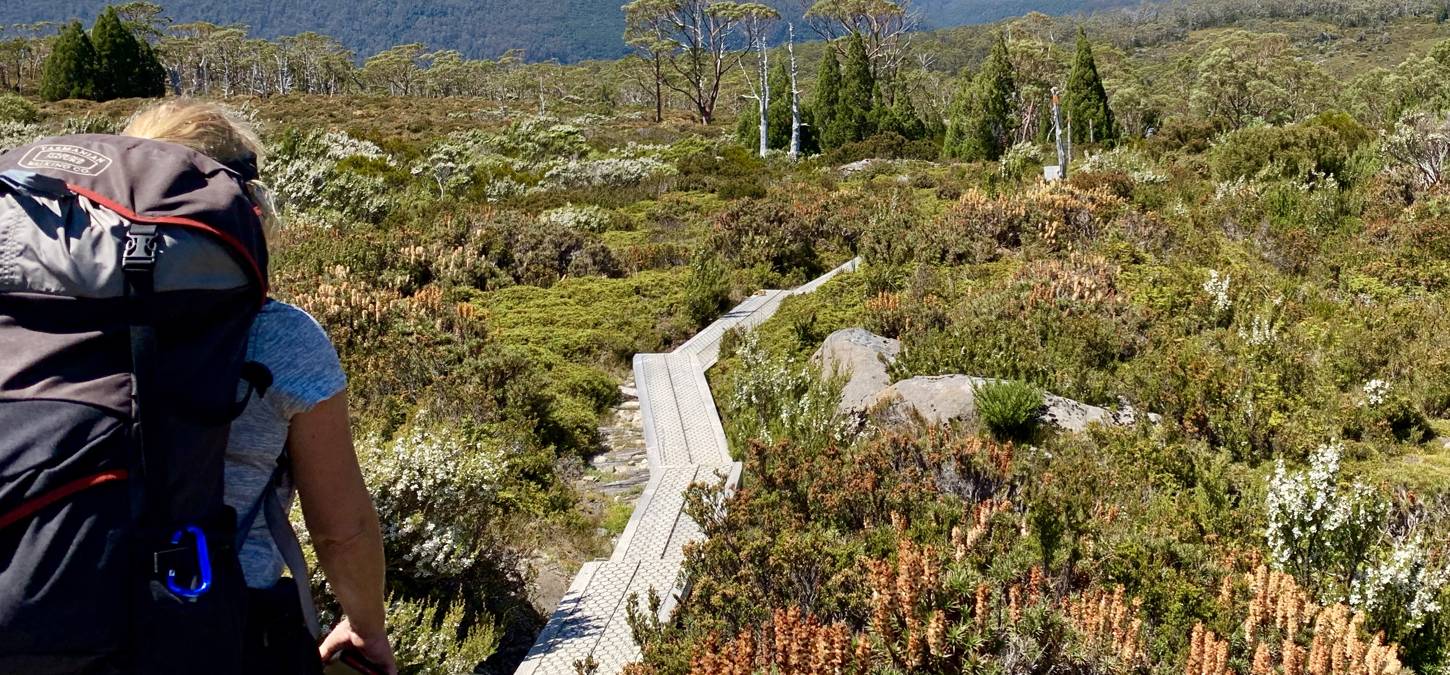 walkers along the Cradle mountain trail