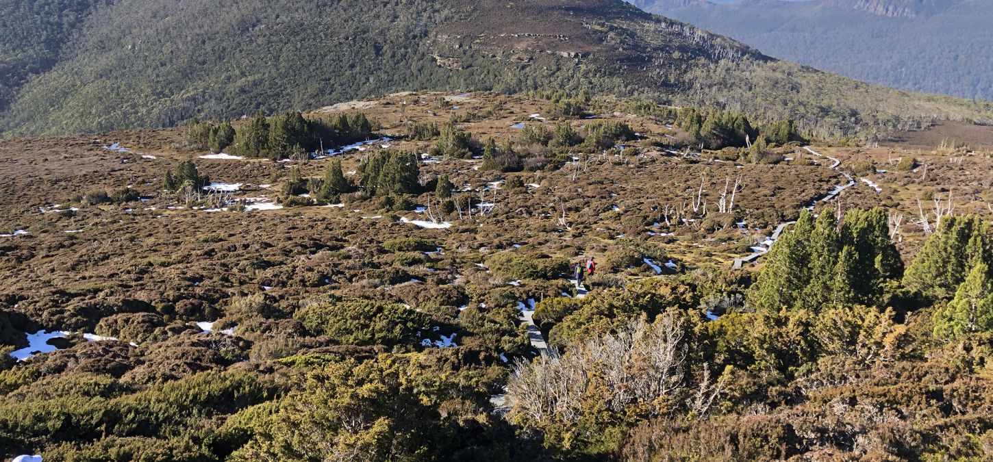 Cradle Mountain