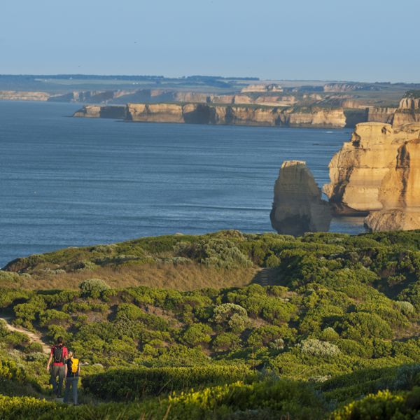 Visionsofvictoria1374408 305