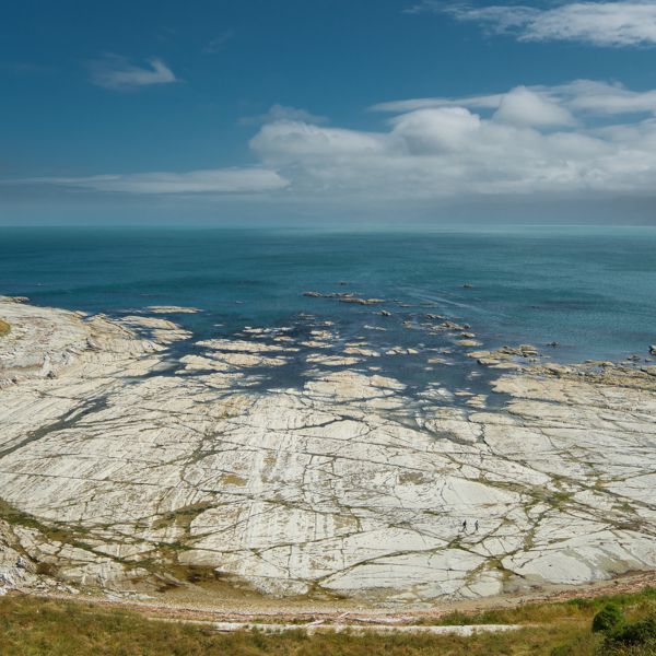 Kaikoura Peninsula 4