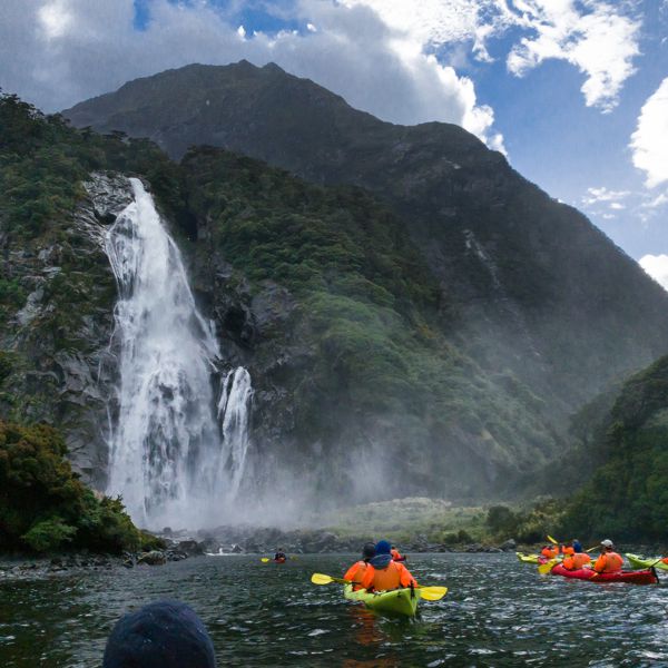 Milford Sound Kayaking