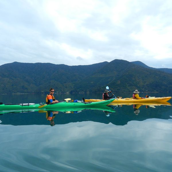 Rimu Kayaking Marlborough Sounds 5