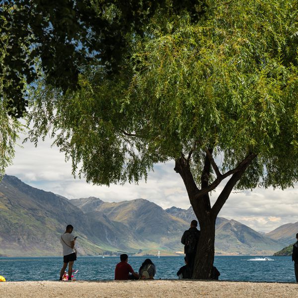 Queenstown Beach
