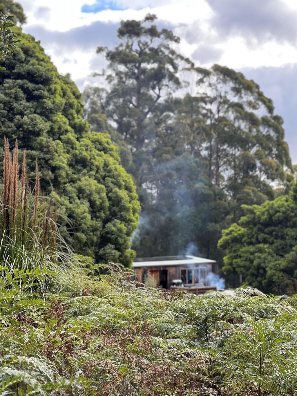 Bruny_island_eco_camp