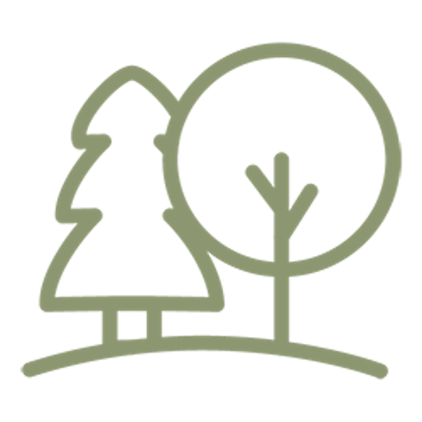 Icons 3 06