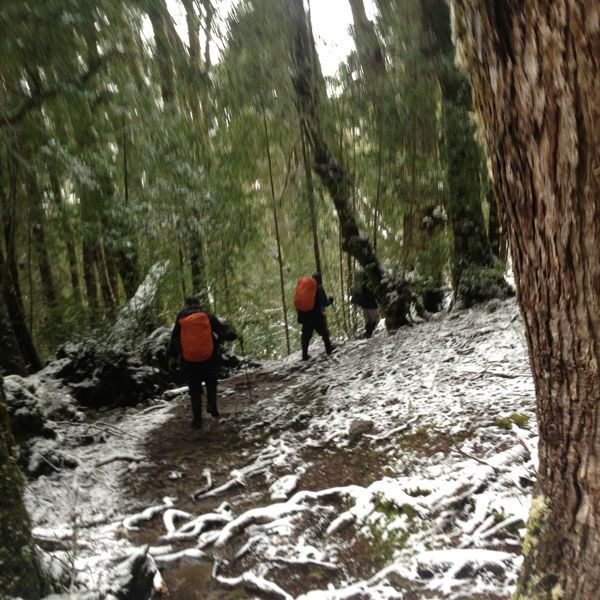Photo3