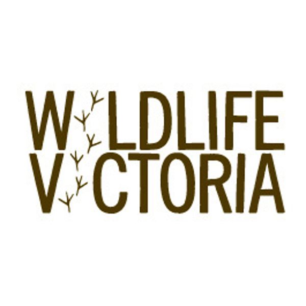 Wildlife Vic Thumb 2