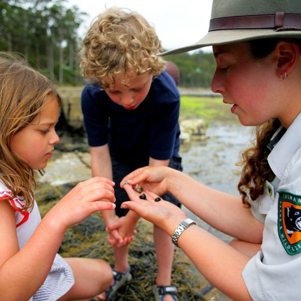 Discovery Ranger Program, Tasmania Parks